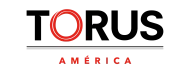 Torus America